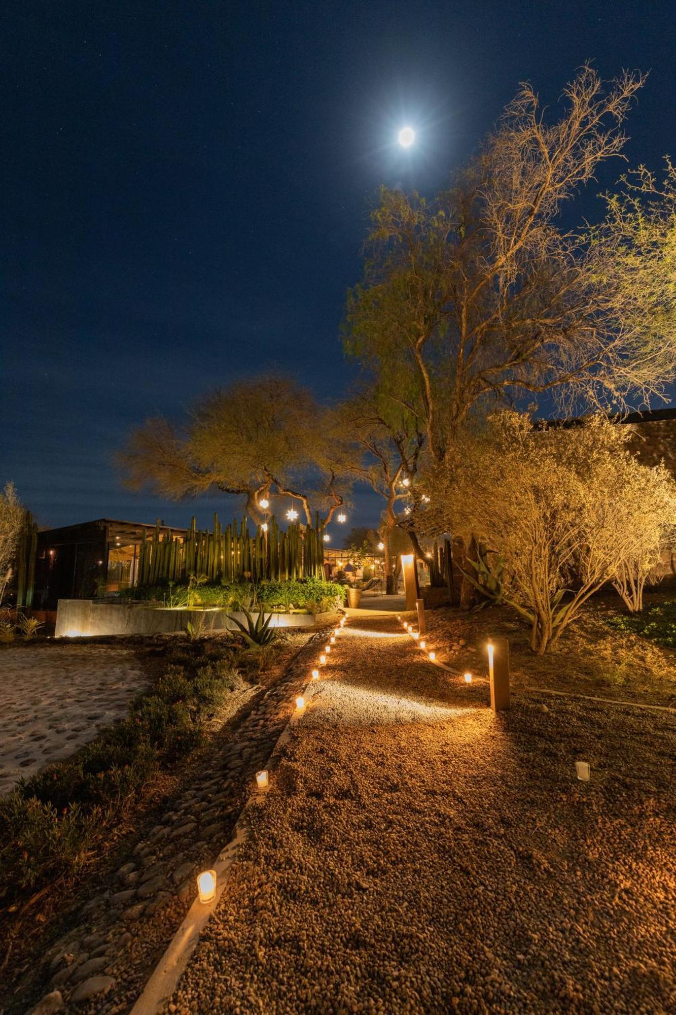 Our Habitas San Miguel De Allende Bandita Exterior foto